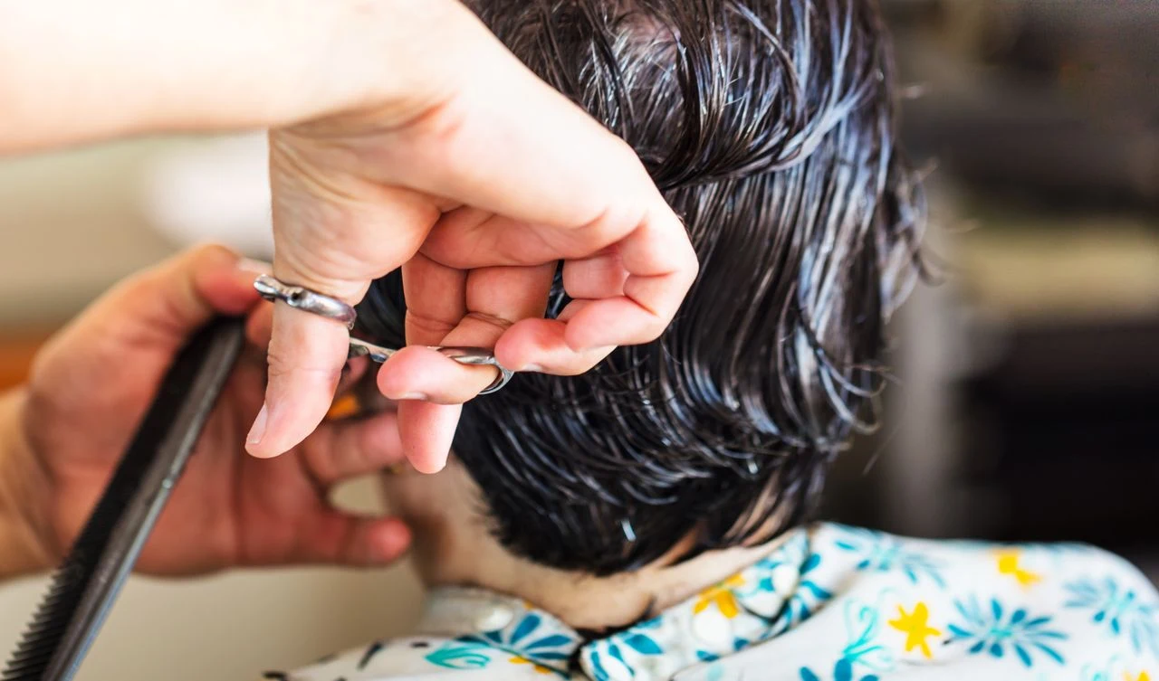 Professional Haircut & Blow-Dry Packages