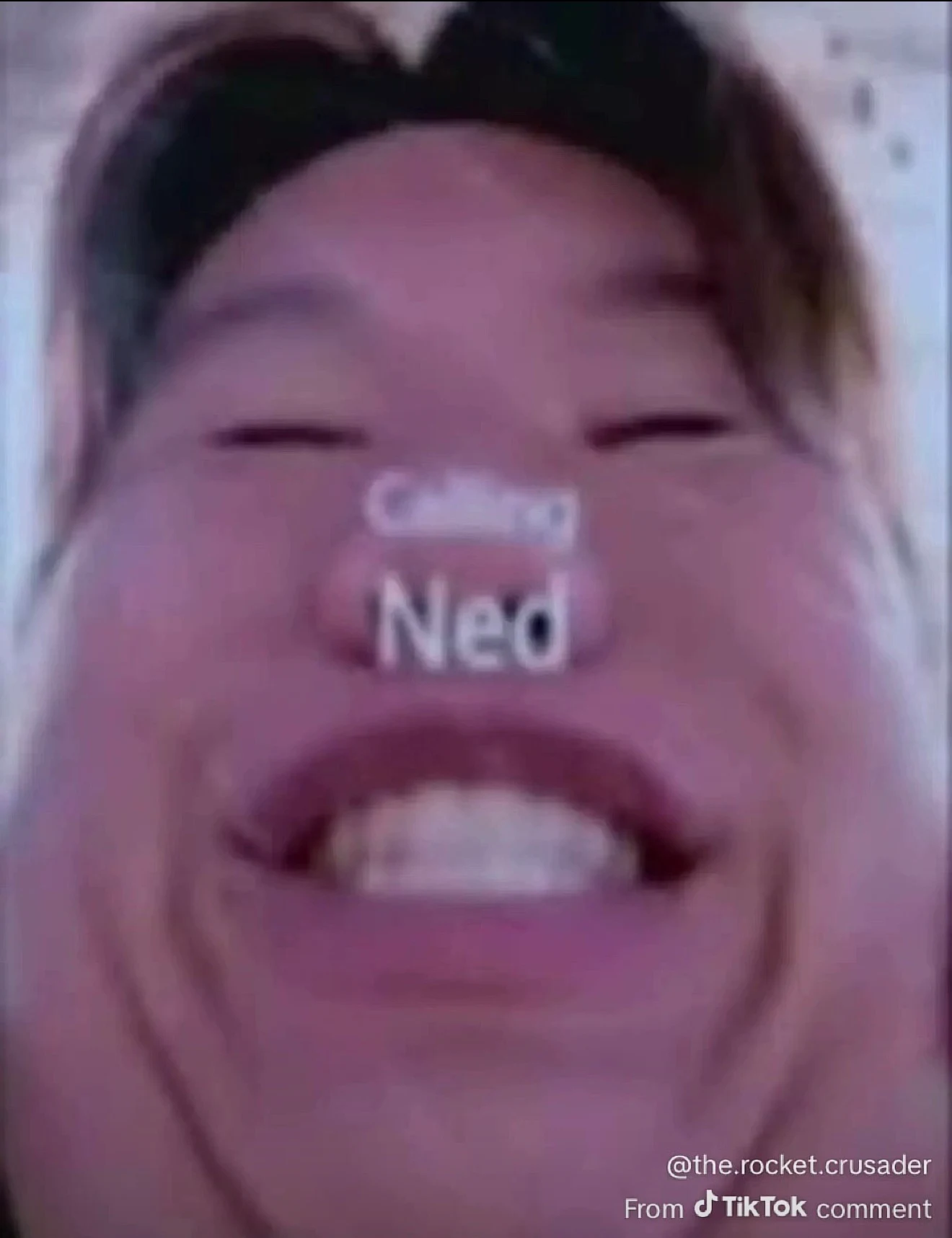 Ned